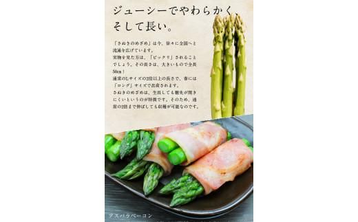 訳あり さぬきのめざめセミロング30cm(細物・サイズ混合) 約1.3kg【2026-3月上旬～2026-3月下旬配送】 372013_T006-292J