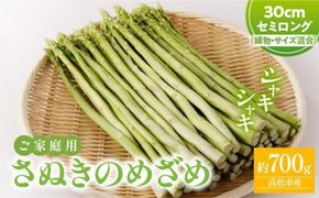 ご家庭用 さぬきのめざめセミロング30cm(細物・サイズ混合) 約700g【2026-3月上旬～2026-6月下旬配送】 372013_T006-296J