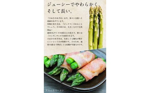 ご家庭用 さぬきのめざめセミロング30cm(細物・サイズ混合) 約1.5kg【2026-3月上旬～2026-6月下旬配送】 372013_T006-297J