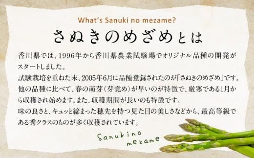 柔らかさと甘みが際立つ さぬきのめざめ春芽 約700g【2026-1月下旬～2026-2月下旬配送】 372013_T006-298J