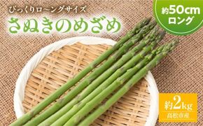 びっくりロ～ングサイズ さぬきのめざめロング約50cm 約2kg【2026-2月中旬～2026-4月下旬配送】 372013_T006-300J