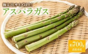期間限定企画 極太2Lサイズ以上! アスパラガス 約700g【2026-3月上旬～2026-4月下旬配送】 372013_T006-301J