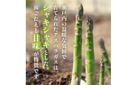 期間限定企画 極太2Lサイズ以上! アスパラガス 約700g【2026-3月上旬～2026-4月下旬配送】 372013_T006-301J