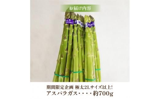 期間限定企画 極太2Lサイズ以上! アスパラガス 約700g【2026-3月上旬～2026-4月下旬配送】 372013_T006-301J