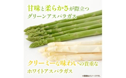 グリーン (約500g)・ ホワイト (約300g) アスパラガス 食べ比べ セット 【2026-3月上旬～2026-9月下旬配送】 372013_T006-302J