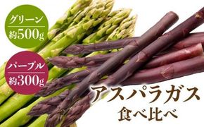 グリーン(約500g)・パープル(約300g)アスパラガス食べ比べセット【2026-3月上旬～2026-9月下旬配送】 372013_T006-303J