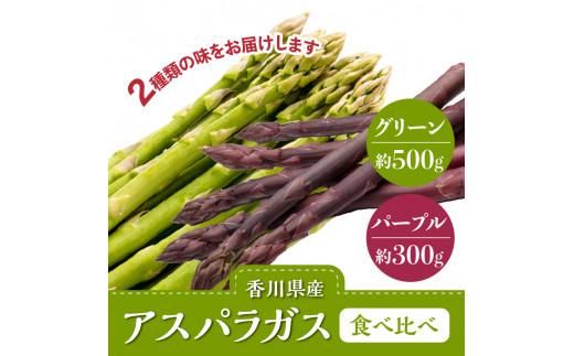 グリーン(約500g)・パープル(約300g)アスパラガス食べ比べセット【2026-3月上旬～2026-9月下旬配送】 372013_T006-303J