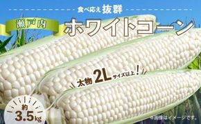 ＼寄附額改定／太物2Lサイズ以上!瀬戸内ホワイトコーン 約3.5kg【2026-6月中旬～2026-7月中旬配送】 372013_T006-304J