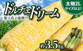 ＼寄附額改定／食べ応え抜群 太物2Lサイズ以上!ドルチェドリーム 約3.5kg【2027-6月上旬～2027-7月上旬配送】 372013_T006-305J