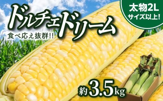 ＼寄附額改定／食べ応え抜群 太物2Lサイズ以上!ドルチェドリーム 約3.5kg【2027-6月上旬～2027-7月上旬配送】 372013_T006-305J