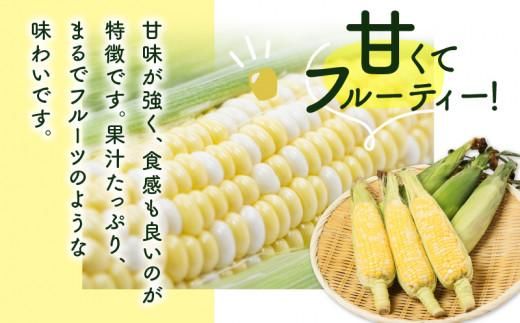＼寄附額改定／食べ応え抜群 太物2Lサイズ以上!ドルチェドリーム 約3.5kg【2027-6月上旬～2027-7月上旬配送】 372013_T006-305J