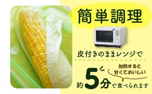＼寄附額改定／食べ応え抜群 太物2Lサイズ以上!ドルチェドリーム 約3.5kg【2027-6月上旬～2027-7月上旬配送】 372013_T006-305J