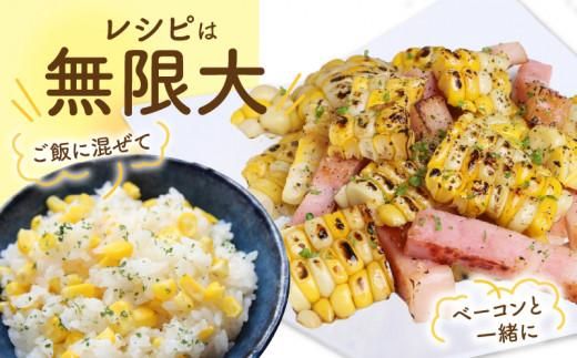 ＼寄附額改定／食べ応え抜群 太物2Lサイズ以上!ドルチェドリーム 約3.5kg【2027-6月上旬～2027-7月上旬配送】 372013_T006-305J