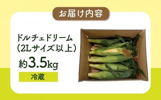 ＼寄附額改定／食べ応え抜群 太物2Lサイズ以上!ドルチェドリーム 約3.5kg【2027-6月上旬～2027-7月上旬配送】 372013_T006-305J