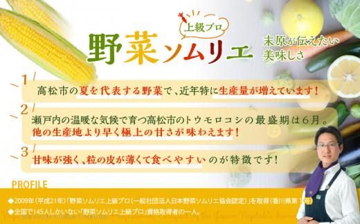 ＼寄附額改定／食べ応え抜群 太物2Lサイズ以上!ドルチェドリーム 約3.5kg【2027-6月上旬～2027-7月上旬配送】 372013_T006-305J