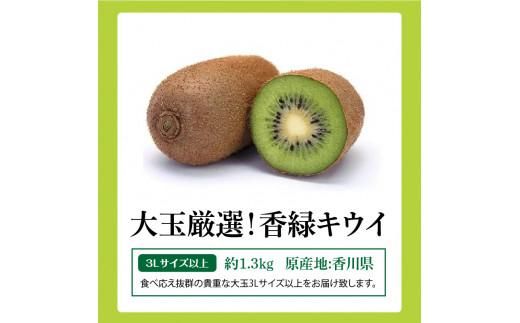 大玉厳選(3Lサイズ以上)!香緑キウイ　約1.3kg【2026-1月上旬～2026-3月上旬配送】 372013_T006-307J