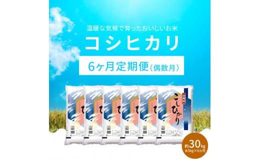 【6ヶ月定期便】計約30kg 偶数月 おいしいコシヒカリ約5kg 372013_T006-711J