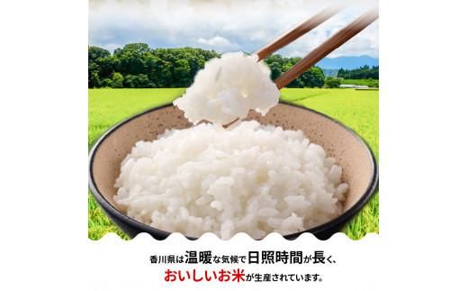 【6ヶ月定期便】計約30kg 偶数月 おいしいコシヒカリ約5kg 372013_T006-711J