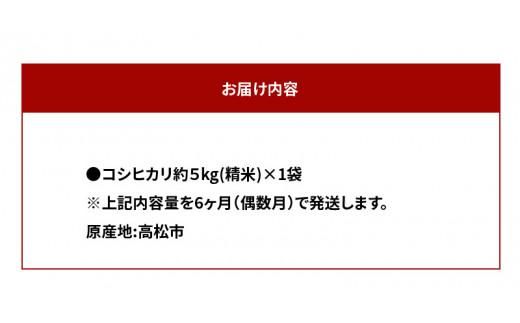 【6ヶ月定期便】計約30kg 偶数月 おいしいコシヒカリ約5kg 372013_T006-711J