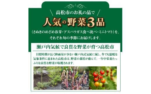 季節のやさい  厳選 高松市 3回 [旬な季節に合計3回発送]定期便D 372013_T006-738J