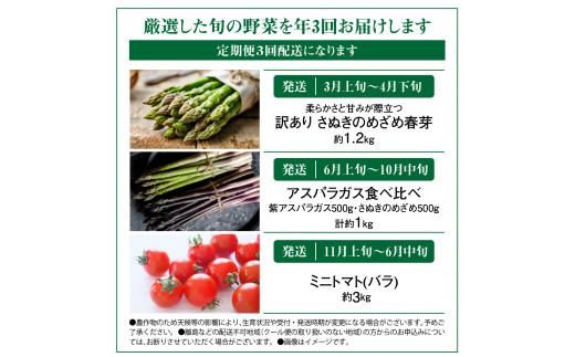 季節のやさい  厳選 高松市 3回 [旬な季節に合計3回発送]定期便D 372013_T006-738J