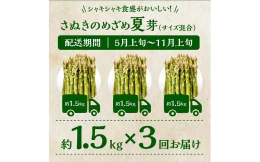 香川県産アスパラガス定期便K 372013_T006-745J