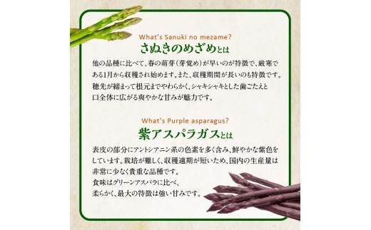 香川県産アスパラガス定期便L 372013_T006-746J