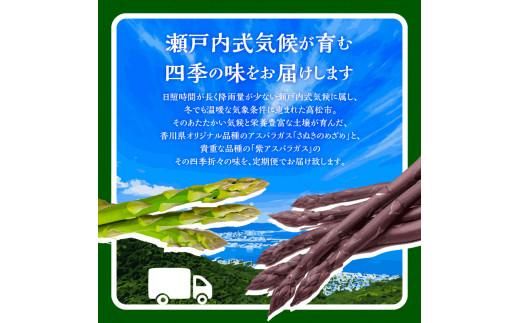 香川県産アスパラガス定期便I 372013_T006-748J