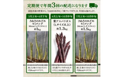 香川県産アスパラガス定期便I 372013_T006-748J