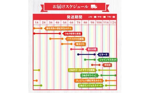 季節のフルーツ  厳選 高松市 12回 [旬な季節に合計12回発送]定期便N 372013_T006-750J