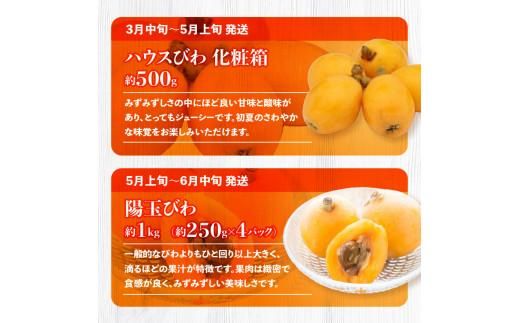 季節のフルーツ  厳選 高松市 12回 [旬な季節に合計12回発送]定期便N 372013_T006-750J