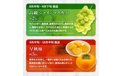 季節のフルーツ  厳選 高松市 12回 [旬な季節に合計12回発送]定期便N 372013_T006-750J