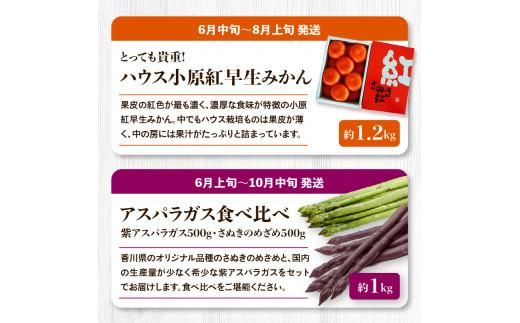 香川県オリジナル品種を満喫できる旬の果物・野菜 定期便Q 372013_T006-756J