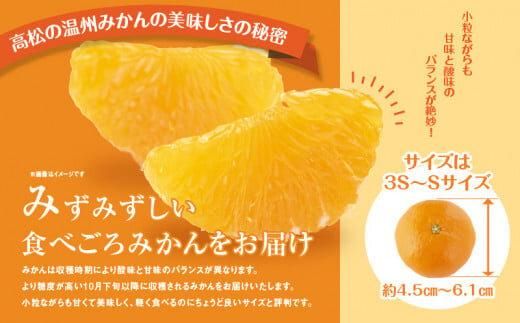 【先行予約】瀬戸内温州みかん　M～3Sサイズ　約2.5kg【2026年10月上旬～2027年1月下旬配送予定】 372013_T006-762J