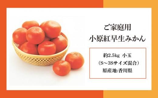 【訳あり】ご家庭用小原紅早生みかん(サイズおまかせ)　約2.5kg【11月下旬～1月下旬配送予定】 372013_T006-763J