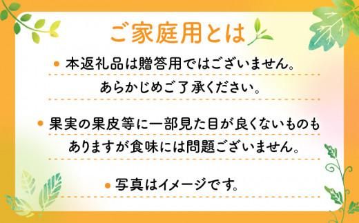 【訳あり】ご家庭用小原紅早生みかん(サイズおまかせ)　約2.5kg【11月下旬～1月下旬配送予定】 372013_T006-763J