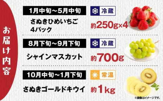 【3回お届け】高松市自慢のフルーツ定期便【C】 372013_T006-767J