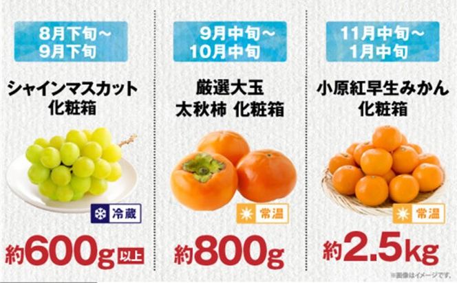 【ALL化粧箱】【6回お届け】高松市自慢のフルーツ定期便【K】 372013_T006-775J