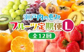 【12回毎月お届け】高松市自慢のフルーツ定期便【L】 372013_T006-776J
