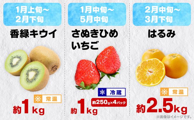 【12回毎月お届け】高松市自慢のフルーツ定期便【L】 372013_T006-776J