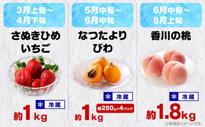 【12回毎月お届け】高松市自慢のフルーツ定期便【L】 372013_T006-776J