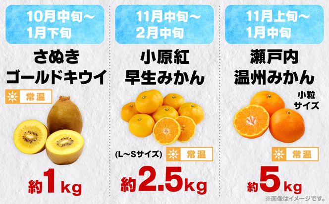 【12回毎月お届け】高松市自慢のフルーツ定期便【L】 372013_T006-776J