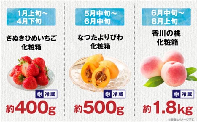 【ALL化粧箱】【12回毎月お届け】高松市自慢のフルーツ定期便【M】 372013_T006-777J