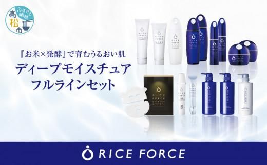 1366840. ライスフォース　ディープモイスチュアフルラインセット 372013_T019-026J