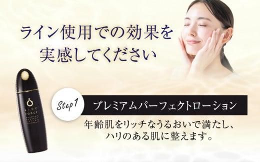 000049.プレミアムパーフェクトW美白セット 372013_T019-049J