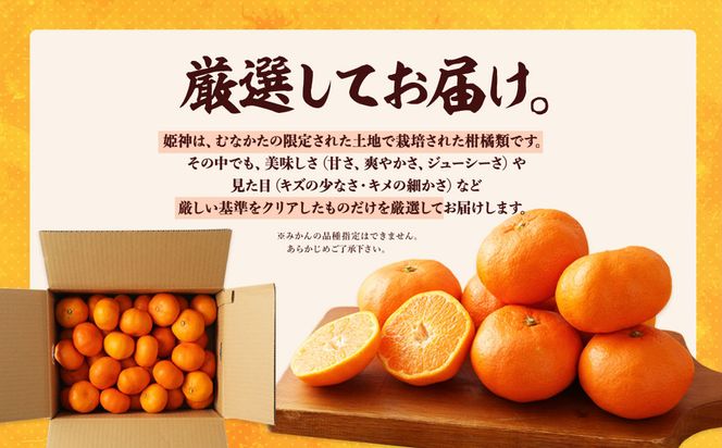 旬のミカンをお届け！JAむなかた柑橘ブランド「姫の神」3kg 甘くて