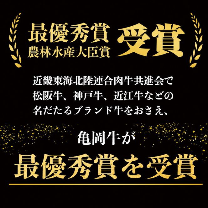 ＜亀岡牛専門店（有）木曽精肉店＞「亀岡牛サーロインステーキ」500g ※冷凍（冷蔵も指定可） ☆祝！亀岡牛 2023年最優秀賞（農林水産大臣賞）受賞