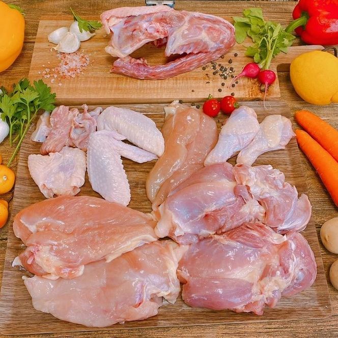 ys{Tszy12ցz󂠂 n{ OgǂEOgԂǂ薈݂ɂ͂sTOgR{ً}x  ʕԗi s⁦kCAAnւ̔zs