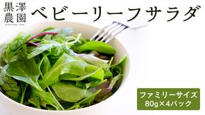 黒澤農園 の ベビーリーフサラダ （ 80g × 4パック ）ファミリーサイズ ベビーリーフ サラダ 生野菜 食べやすい 若葉 ファミリー 旬 新鮮 国産 彩り 大容量 [DS02-NT]