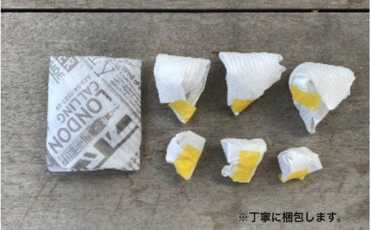 自分で植える多肉植物Aセット※セダム系苗・ピンセットなし